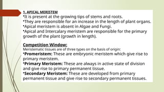1. APICAL MERISTEM
•It is present at the growing tips of stems and roots.
•They are responsible for an increase in the length of plant organs.
•Apical meristem is absent in Algae and Fungi.
•Apical and Intercalary meristem are responsible for the primary
growth of the plant (growth in length).
Competition Window:
Meristematic tissues are of three types on the basis of origin:
•Promeristem: These are embryonic meristem which give rise to
primary meristem.
•Primary Meristem: These are always in active state of division
and give rise to primary permanent tissue.
•Secondary Meristem: These are developed from primary
permanent tissue and give rise to secondary permanent tissues.
 