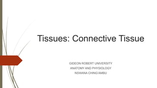 Tissues: Connective Tissue
GIDEON ROBERT UNIVERSITY
ANATOMY AND PHYSIOLOGY
NSWANA CHING’AMBU
 