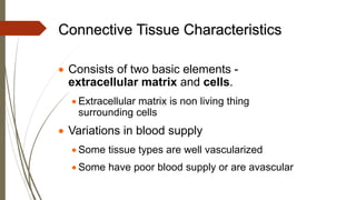 Connective Tissue Characteristics
• Consists of two basic elements -
extracellular matrix and cells.
• Extracellular matrix is non living thing
surrounding cells
• Variations in blood supply
• Some tissue types are well vascularized
• Some have poor blood supply or are avascular
 