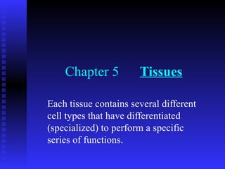 Chapter 5 Tissues
Each tissue contains several different
cell types that have differentiated
(specialized) to perform a specific
series of functions.
 