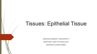 Tissues: Epithelial Tissue
GIDEON ROBERT UNIVERSITY
ANATOMY AND PHYSIOLOGY
NSWANA CHING’AMBU
 