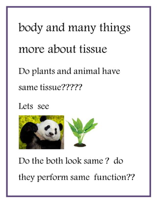 body and many things
more about tissue
Do plants and animal have
same tissue?????
Lets see
Do the both look same ? do
they perform same function??
 