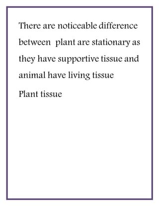 There are noticeable difference
between plant are stationary as
they have supportive tissue and
animal have living tissue
Plant tissue
 