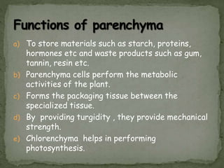 a) To store materials such as starch, proteins,
hormones etc and waste products such as gum,
tannin, resin etc.
b) Parenchyma cells perform the metabolic
activities of the plant.
c) Forms the packaging tissue between the
specialized tissue.
d) By providing turgidity , they provide mechanical
strength.
e) Chlorenchyma helps in performing
photosynthesis.
 