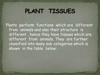Plants perform functions which are different
from animals and also their structure is
different , hence they have tissues which are
different from animals. They are further
classified into many sub categories which is
shown in the table below:
 