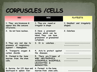 RBC WBC PLATELETS
1. They are biconcave &
appear disc like concave
structures.
1. They are round or
irregular in shape
1. Smallest and irregularly
shaped.
2. Do not have nucleus. 2. Have a prominent
nucleus which can be
lobed. They can have
granulated or granulated
cytoplasm.
2. Colorless
3. They are red due to
presence of respiratory
pigment - Hemoglobin.
3. It is colorless . ----------------------
-------------
4. Transports oxygen &
carbon dioxide.
4. Acts to protect against
the diseases.
----------------------
-------------
5. Formed in the bone
marrow from the stem
cells.
5. There are 5 types of
WBC NEUTROPHILS,
ACIDOPHILS, BASOPHILS,
LEUCOCYTES &
MONOCYTES.
---------------------
------------
6. Survive for 121 days and
destroyed in spleen liver
6. Formed in the bone
marrow from stem cells. --------------------
 