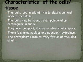 The cells are made of thin & elastic cell wall
made of cellulose.
The cells may be round , oval, polygonal or
rectangular in shape.
They are compact, having no intercellular space.
There is a large nucleus and abundant cytoplasm.
The protoplasm contains very few or no vacuoles
at all.
 