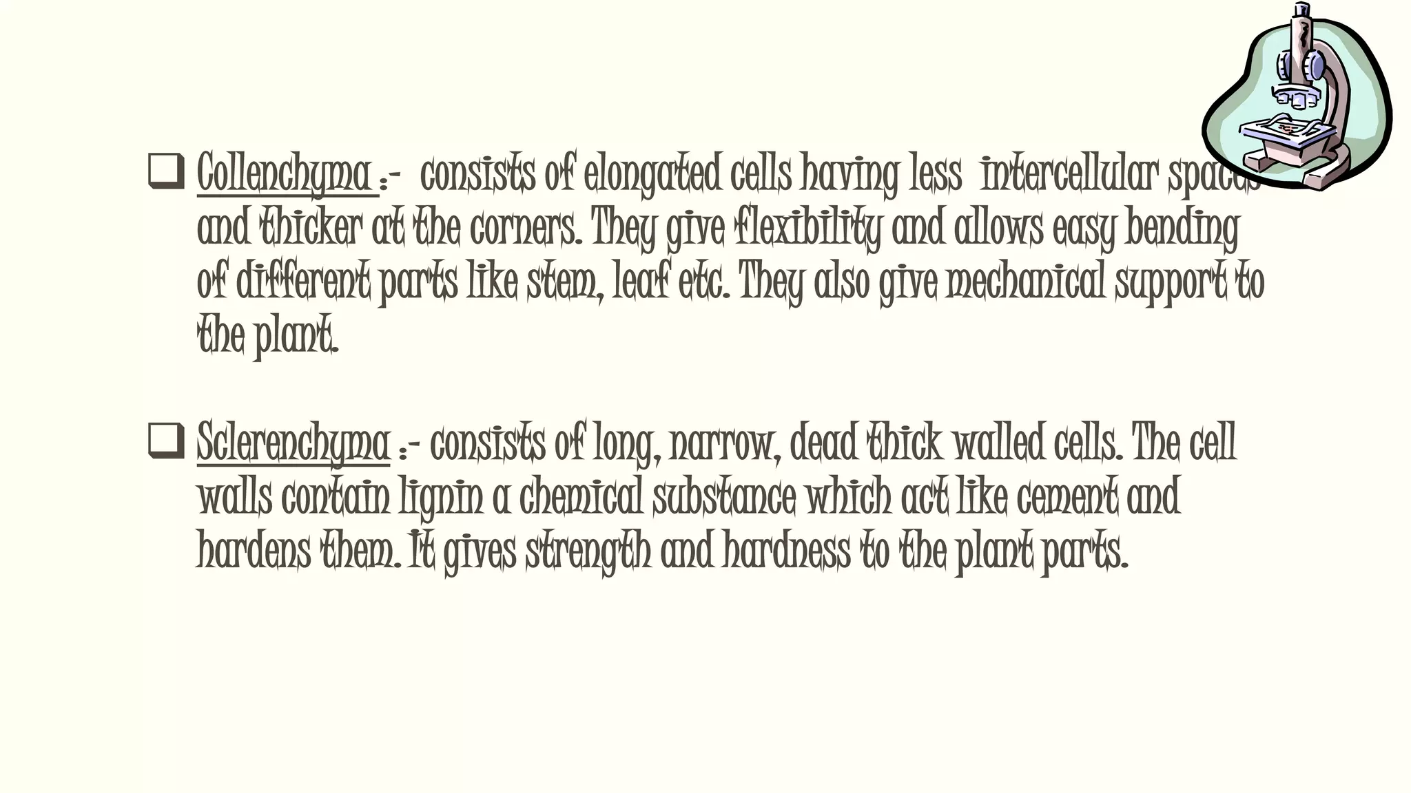 Collenchyma :- consists of elongated cells having less intercellular spaces
and thicker at the corners. They give flexibility and allows easy bending
of different parts like stem, leaf etc. They also give mechanical support to
the plant.
 Sclerenchyma :- consists of long, narrow, dead thick walled cells. The cell
walls contain lignin a chemical substance which act like cement and
hardens them. It gives strength and hardness to the plant parts.
 