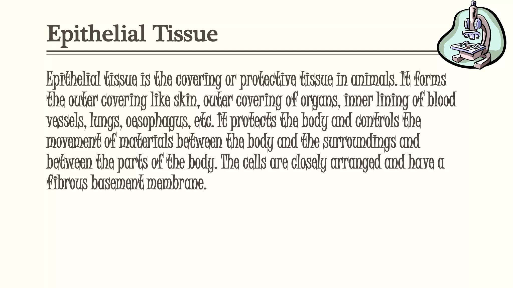 Epithelial Tissue
Epithelial tissue is the covering or protective tissue in animals. It forms
the outer covering like skin, outer covering of organs, inner lining of blood
vessels, lungs, oesophagus, etc. It protects the body and controls the
movement of materials between the body and the surroundings and
between the parts of the body. The cells are closely arranged and have a
fibrous basement membrane.
 