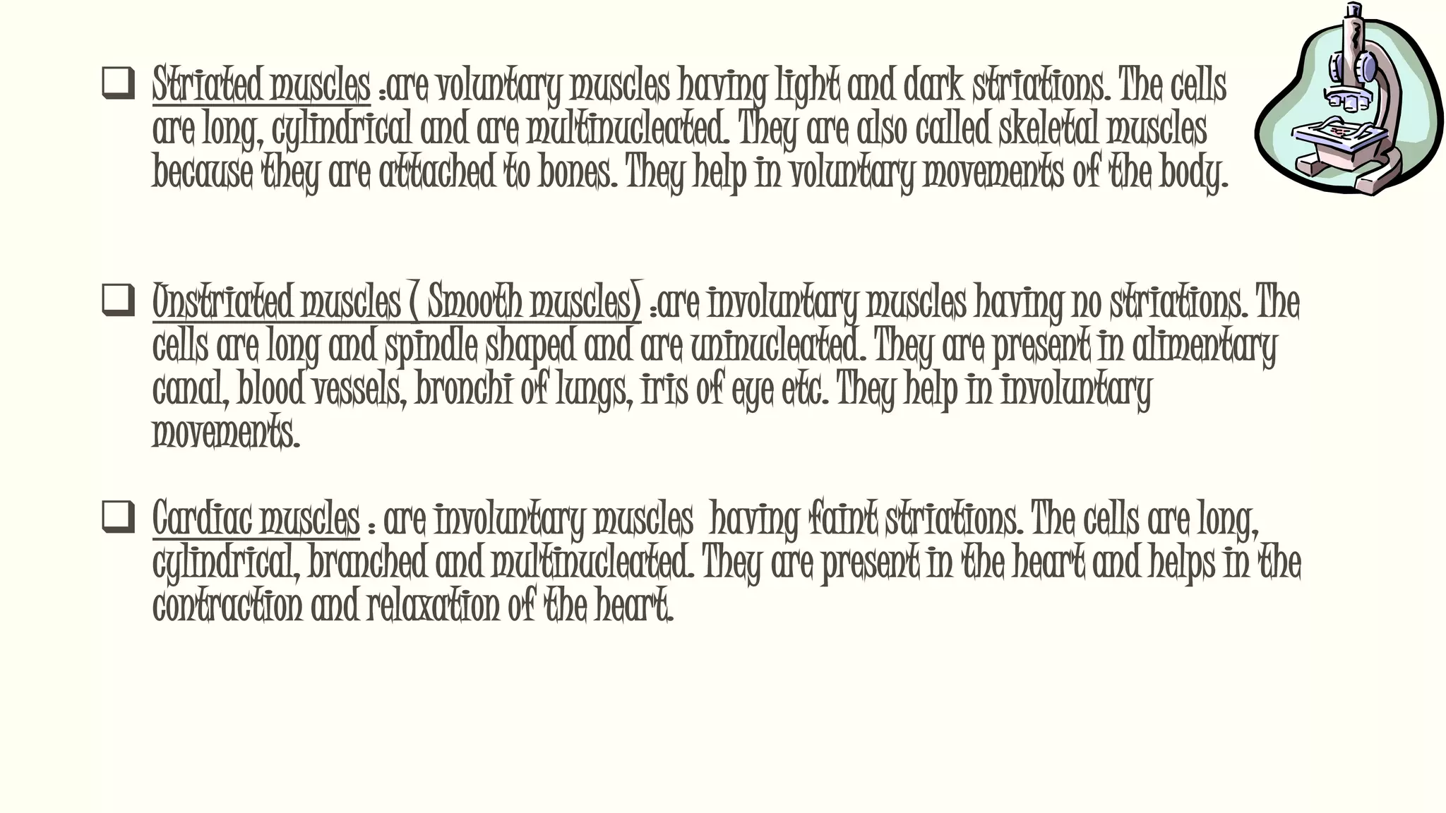  Unstriated muscles ( Smooth muscles) :are involuntary muscles having no striations. The
cells are long and spindle shaped and are uninucleated. They are present in alimentary
canal, blood vessels, bronchi of lungs, iris of eye etc. They help in involuntary
movements.
 Cardiac muscles : are involuntary muscles having faint striations. The cells are long,
cylindrical, branched and multinucleated. They are present in the heart and helps in the
contraction and relaxation of the heart.
 Striated muscles :are voluntary muscles having light and dark striations. The cells
are long, cylindrical and are multinucleated. They are also called skeletal muscles
because they are attached to bones. They help in voluntary movements of the body.
 