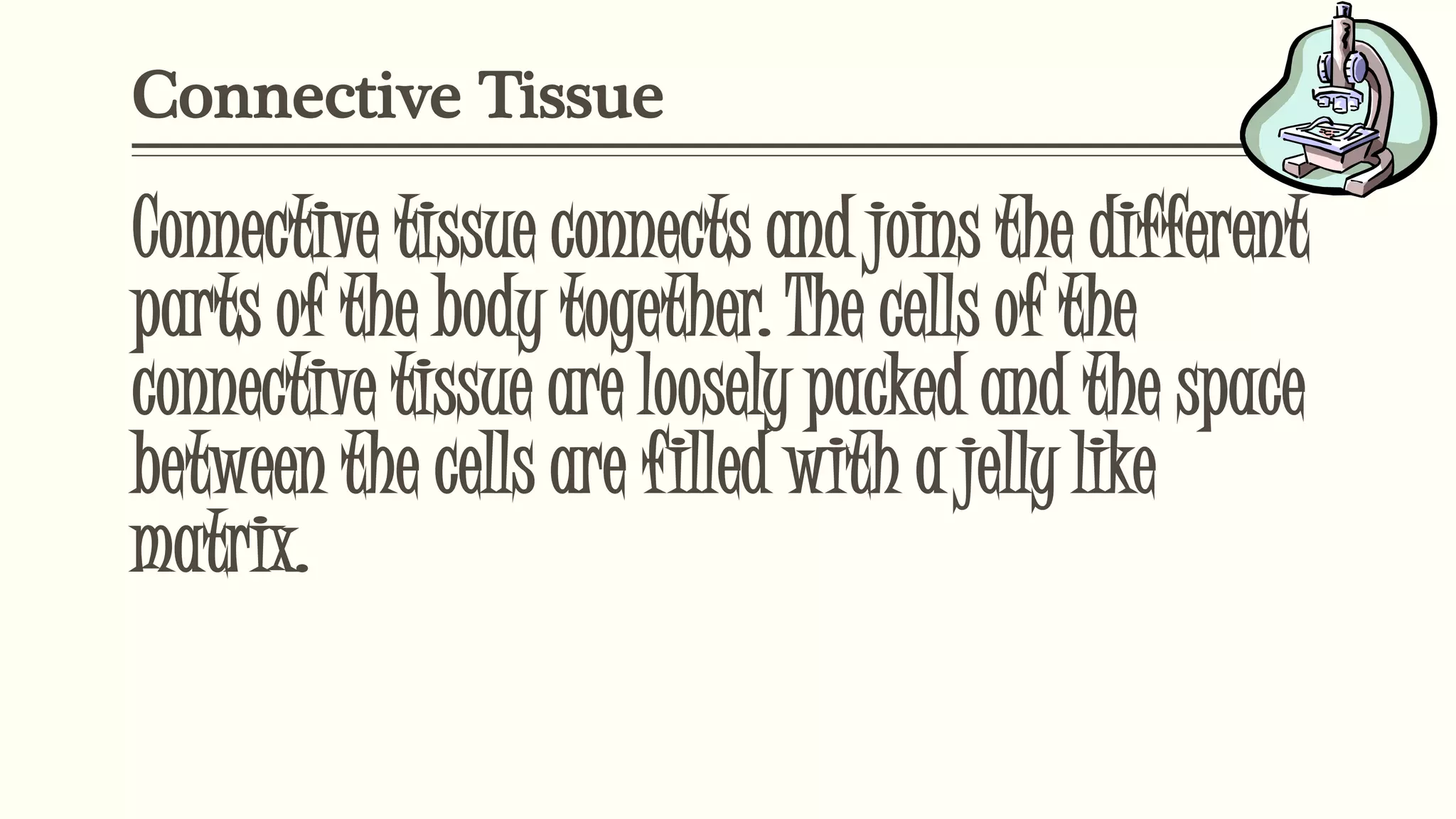 Connective Tissue
Connective tissue connects and joins the different
parts of the body together. The cells of the
connective tissue are loosely packed and the space
between the cells are filled with a jelly like
matrix.
 