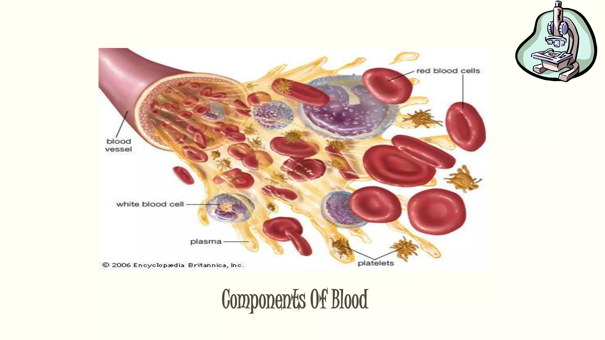 Components Of Blood
 