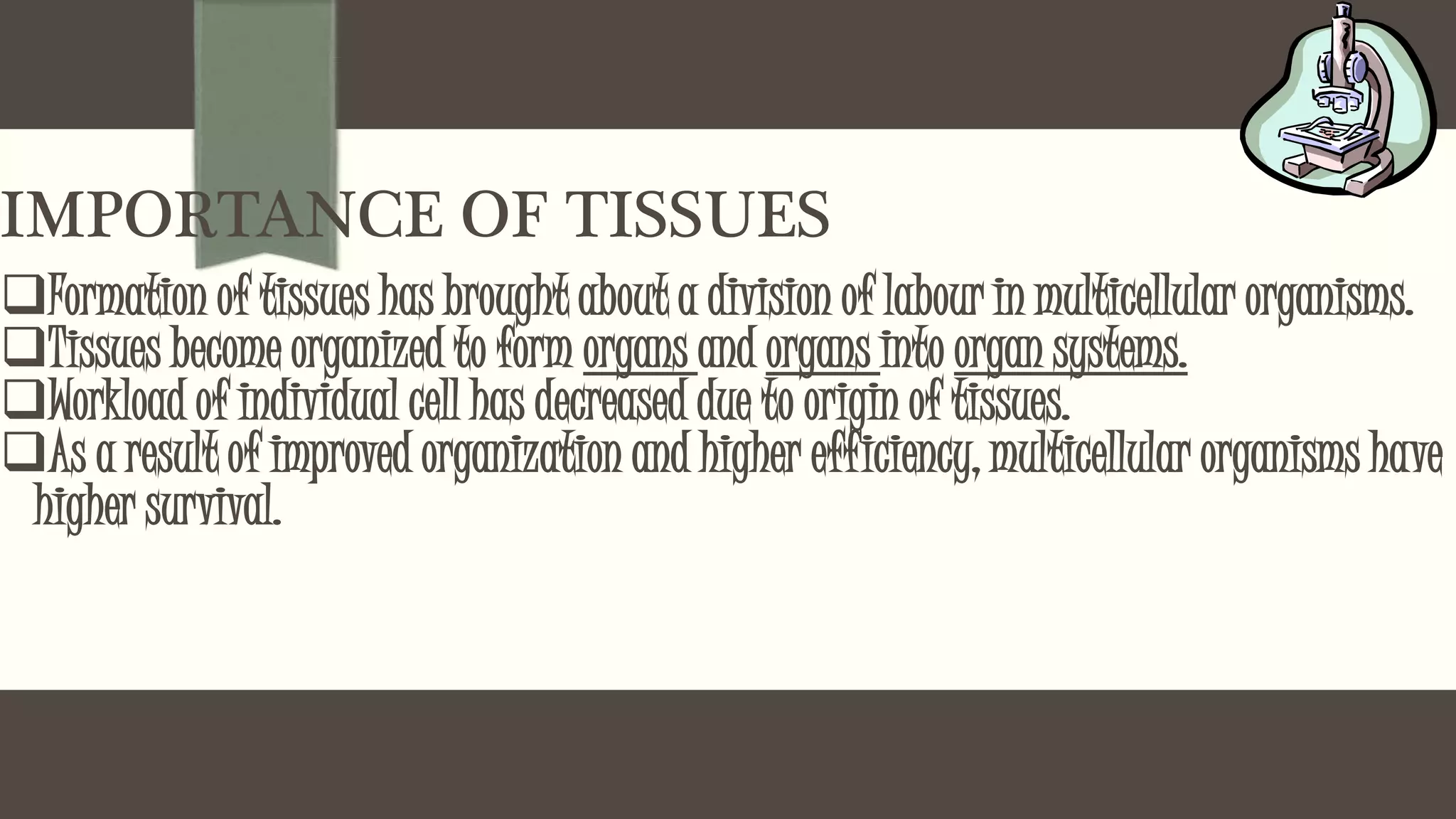 IMPORTANCE OF TISSUES
Formation of tissues has brought about a division of labour in multicellular organisms.
Tissues become organized to form organs and organs into organ systems.
Workload of individual cell has decreased due to origin of tissues.
As a result of improved organization and higher efficiency, multicellular organisms have
higher survival.
 