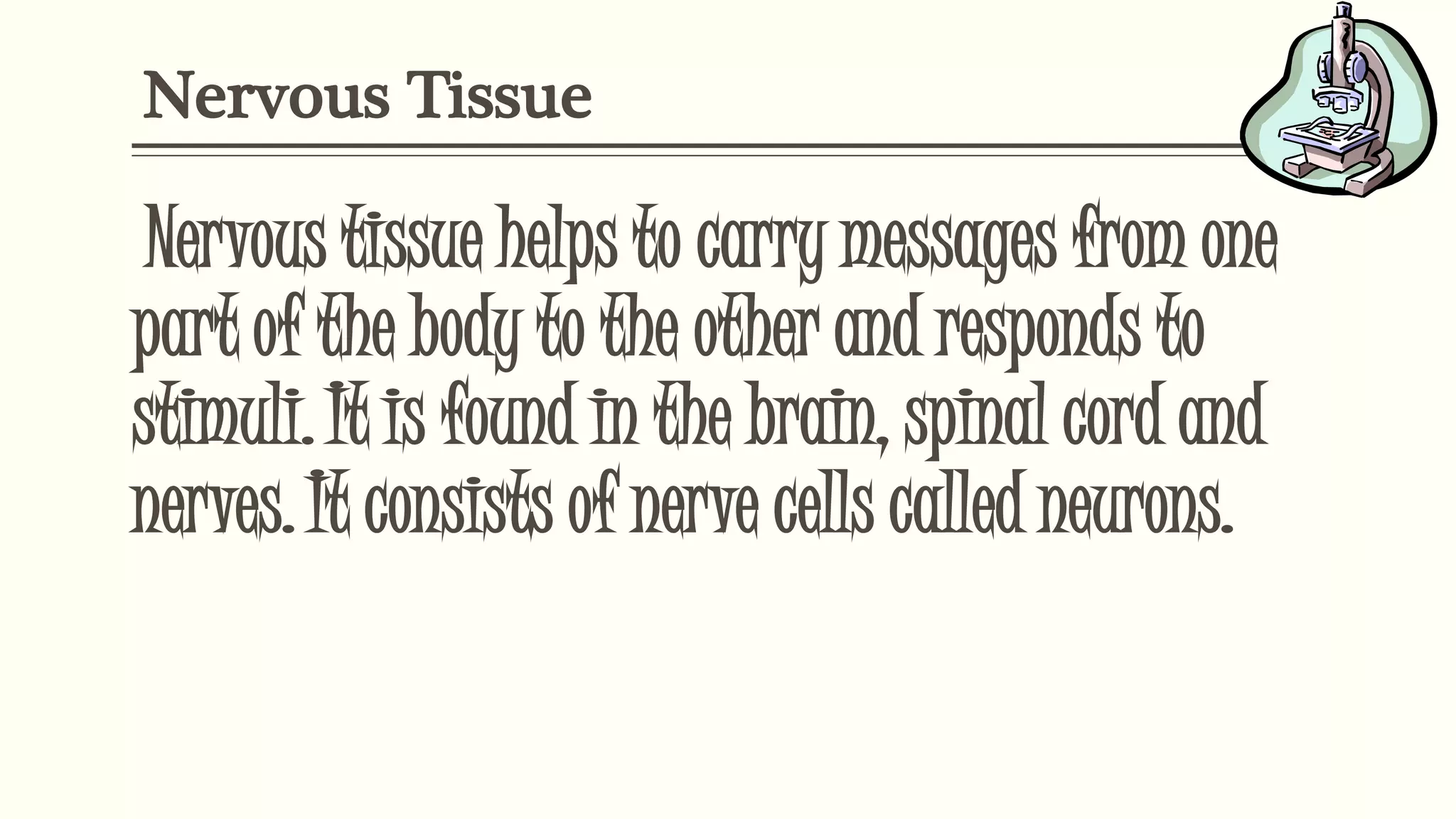 Nervous Tissue
Nervous tissue helps to carry messages from one
part of the body to the other and responds to
stimuli. It is found in the brain, spinal cord and
nerves. It consists of nerve cells called neurons.
 