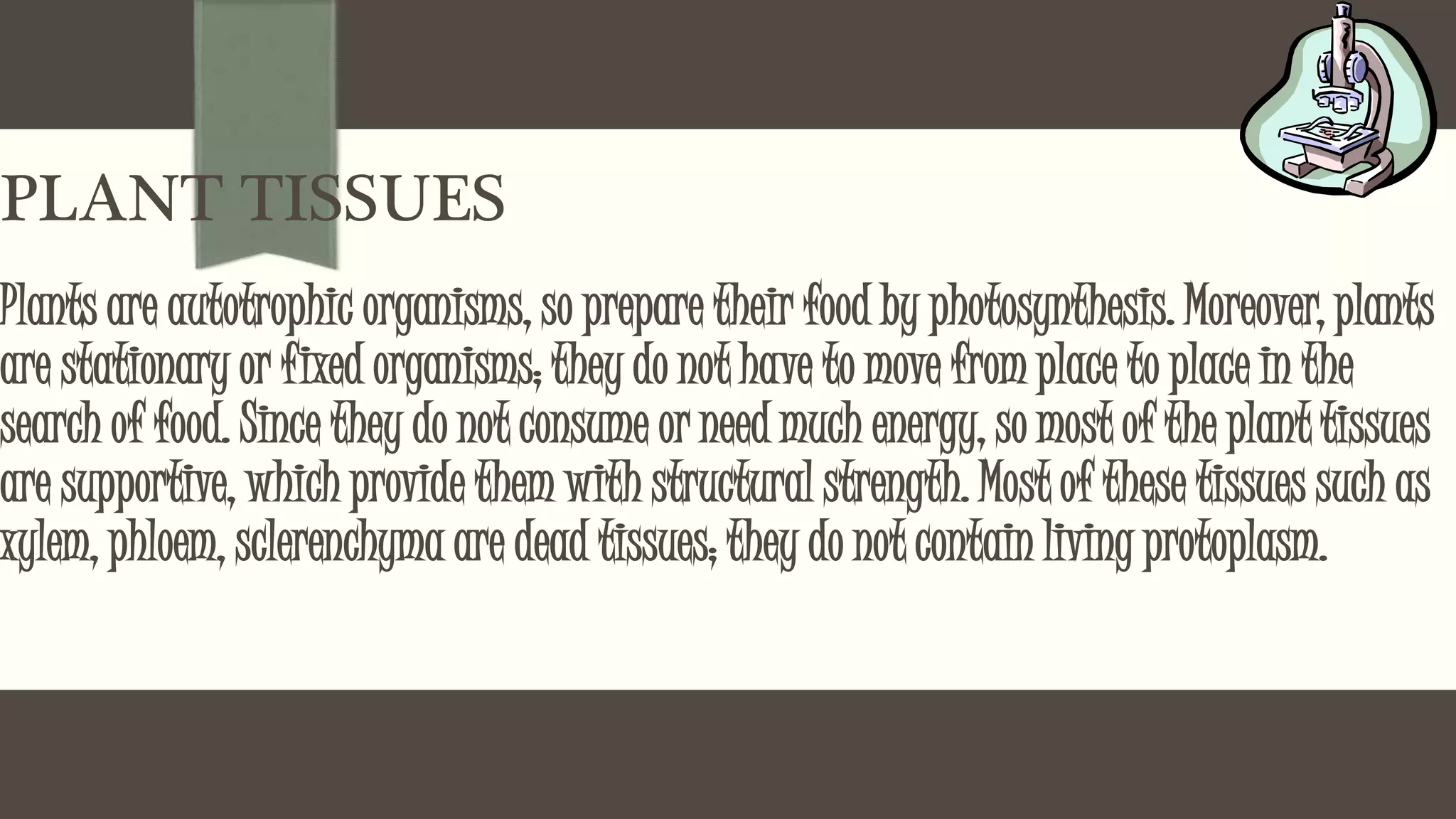 PLANT TISSUES
Plants are autotrophic organisms, so prepare their food by photosynthesis. Moreover, plants
are stationary or fixed organisms; they do not have to move from place to place in the
search of food. Since they do not consume or need much energy, so most of the plant tissues
are supportive, which provide them with structural strength. Most of these tissues such as
xylem, phloem, sclerenchyma are dead tissues; they do not contain living protoplasm.
 