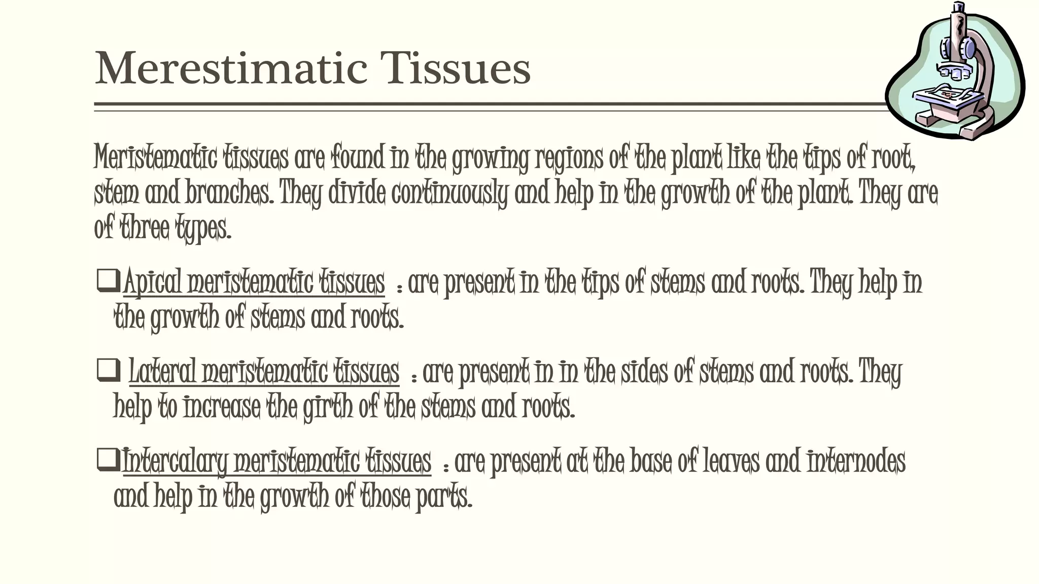 Merestimatic Tissues
Meristematic tissues are found in the growing regions of the plant like the tips of root,
stem and branches. They divide continuously and help in the growth of the plant. They are
of three types.
Apical meristematic tissues : are present in the tips of stems and roots. They help in
the growth of stems and roots.
 Lateral meristematic tissues : are present in in the sides of stems and roots. They
help to increase the girth of the stems and roots.
Intercalary meristematic tissues : are present at the base of leaves and internodes
and help in the growth of those parts.
 