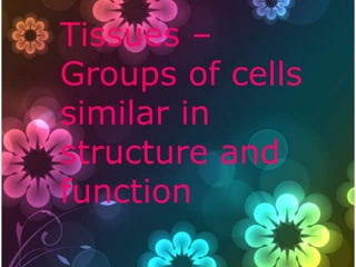 Tissues –
Groups of cells
similar in
          Tissu
           es –
          grou

structure and
          ps of
          cells
          simil

function  ar in
          struc
           ture
           and
          funct
            ion
 