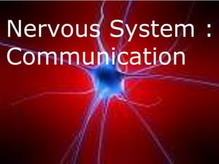 Nervous System :
Communication
    Nervous – communication
 