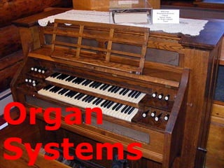 Organ
Systems
 