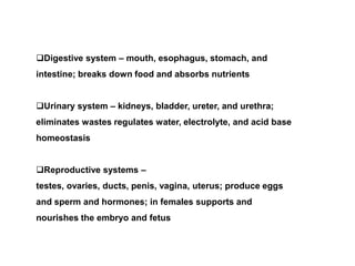 Digestive system – mouth, esophagus, stomach, and
intestine; breaks down food and absorbs nutrients


Urinary system – kidneys, bladder, ureter, and urethra;
eliminates wastes regulates water, electrolyte, and acid base
homeostasis


Reproductive systems –
testes, ovaries, ducts, penis, vagina, uterus; produce eggs
and sperm and hormones; in females supports and
nourishes the embryo and fetus
 