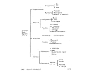 Tissues, organs, and organ systems