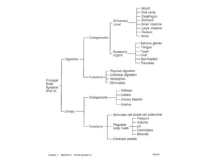 Tissues, organs, and organ systems