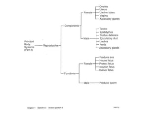 Tissues, organs, and organ systems