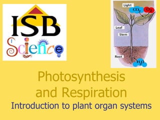 Photosynthesis
      and Respiration
Introduction to plant organ systems
 