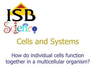 Cells and Systems
  How do individual cells function
together in a multicellular organism?
 