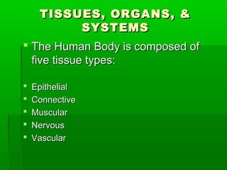 TISSUES, ORGANS, &
          SYSTEMS
 The Human Body is composed of
  five tissue types:

   Epithelial
   Connective
   Muscular
   Nervous
   Vascular
 