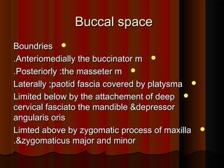 Buccal spaceBuccal space
BoundriesBoundries
Anteriomedially the buccinator mAnteriomedially the buccinator m..
Posteriorly :the masseter mPosteriorly :the masseter m..
Laterally ;paotid fascia covered by platysmaLaterally ;paotid fascia covered by platysma
Limited below by the attachement of deepLimited below by the attachement of deep
cervical fasciato the mandible &depressorcervical fasciato the mandible &depressor
angularis orisangularis oris
Limted above by zygomatic process of maxillaLimted above by zygomatic process of maxilla
&zygomaticus major and minor&zygomaticus major and minor..
 