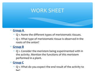 ∗ Group A
∗ Q 1. Name the different types of meristematic tissues.
∗ Q 1. What type of meristematic tissue is observed in the
roots of the onion?
∗ Group B
∗ Q 1. Consider the meristem being experimented with in
the activity. Mention the functions of this meristem
performed in a plant.
∗ Group C
∗ Q 1. What do you expect the end result of the activity to
WORK SHEET
 