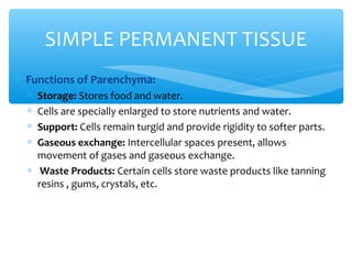 ∗ Functions of Parenchyma:
∗ Storage: Stores food and water.
∗ Cells are specially enlarged to store nutrients and water.
∗ Support: Cells remain turgid and provide rigidity to softer parts.
∗ Gaseous exchange: Intercellular spaces present, allows
movement of gases and gaseous exchange.
∗ Waste Products: Certain cells store waste products like tanning
resins , gums, crystals, etc.
SIMPLE PERMANENT TISSUE
 