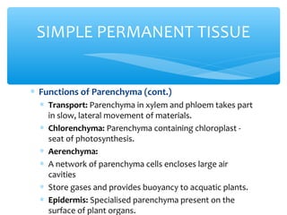 ∗ Functions of Parenchyma (cont.)
∗ Transport: Parenchyma in xylem and phloem takes part
in slow, lateral movement of materials.
∗ Chlorenchyma: Parenchyma containing chloroplast -
seat of photosynthesis.
∗ Aerenchyma:
∗ A network of parenchyma cells encloses large air
cavities
∗ Store gases and provides buoyancy to acquatic plants.
∗ Epidermis: Specialised parenchyma present on the
surface of plant organs.
SIMPLE PERMANENT TISSUE
 