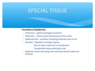 ∗ Functions of Epidermis:
∗ Protection – against pathogens and pests
∗ Water loss – checks water loss because of the cuticle
∗ Epidermal Hair – produces insulating stationary layer of air.
∗ Stomata – Regulate exchange of gases
Seat of major water loss in transpiration
Transpiration keeps aerial parts cool
∗ Epidermis of the root along with root hairs absorb water and
minerals
SPECIAL TISSUE
 