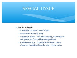 ∗ Functions of Cork:
∗ Protection against loss of Water
∗ Protection from microbes
∗ Insulation against mechanical injury, extremes of
temperature, fire and browsing animals
∗ Commercial use – stoppers for bottles, shock
absorber insulation boards, sports goods, etc.
SPECIAL TISSUE
 