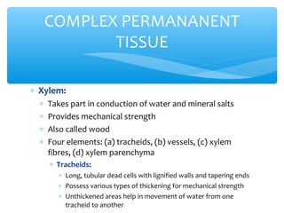 ∗ Xylem:
∗ Takes part in conduction of water and mineral salts
∗ Provides mechanical strength
∗ Also called wood
∗ Four elements: (a) tracheids, (b) vessels, (c) xylem
fibres, (d) xylem parenchyma
∗ Tracheids:
∗ Long, tubular dead cells with lignified walls and tapering ends
∗ Possess various types of thickening for mechanical strength
∗ Unthickened areas help in movement of water from one
tracheid to another
COMPLEX PERMANANENT
TISSUE
 