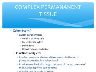∗ Xylem (cont.)
∗ Xylem parenchyma:
∗ Consists of living cells
∗ Present inside xylem
∗ Stores food
∗ Helps in lateral conduction
∗ Functions of Xylem:
∗ Conducts water and minerals from roots to the top of
plants. Movement is unidirectional
∗ Provides mechanical strength because of the occurrence of
thick walled lignified components
COMPLEX PERMANANENT
TISSUE
 