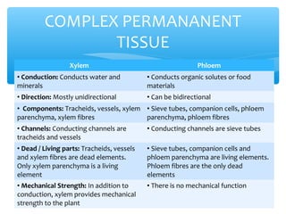 ∗ Differences between xylem and phloem
COMPLEX PERMANANENT
TISSUE
Xylem Phloem
• Conduction: Conducts water and
minerals
• Conducts organic solutes or food
materials
• Direction: Mostly unidirectional • Can be bidirectional
• Components: Tracheids, vessels, xylem
parenchyma, xylem fibres
• Sieve tubes, companion cells, phloem
parenchyma, phloem fibres
• Channels: Conducting channels are
tracheids and vessels
• Conducting channels are sieve tubes
• Dead / Living parts: Tracheids, vessels
and xylem fibres are dead elements.
Only xylem parenchyma is a living
element
• Sieve tubes, companion cells and
phloem parenchyma are living elements.
Phloem fibres are the only dead
elements
• Mechanical Strength: In addition to
conduction, xylem provides mechanical
strength to the plant
• There is no mechanical function
 