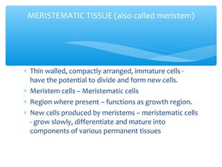 ∗ Thin walled, compactly arranged, immature cells -
have the potential to divide and form new cells.
∗ Meristem cells – Meristematic cells
∗ Region where present – functions as growth region.
∗ New cells produced by meristems – meristematic cells
- grow slowly, differentiate and mature into
components of various permanent tissues
MERISTEMATIC TISSUE (also called meristem)
 