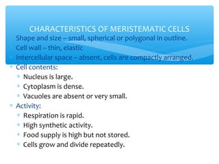 ∗ Shape and size – small, spherical or polygonal in outline.
∗ Cell wall – thin, elastic
∗ Intercellular space – absent, cells are compactly arranged.
∗ Cell contents:
∗ Nucleus is large.
∗ Cytoplasm is dense.
∗ Vacuoles are absent or very small.
∗ Activity:
∗ Respiration is rapid.
∗ High synthetic activity.
∗ Food supply is high but not stored.
∗ Cells grow and divide repeatedly.
CHARACTERISTICS OF MERISTEMATIC CELLS
 