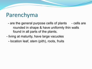 Parenchyma 
- are the general purpose ceIIs of plants - cells are 
rounded in shape & have uniformly thin walls 
found in all parts of the plants. 
- living at maturity, have large vacuoles 
- location Ieaf, stem (pith), roots, fruits 
 