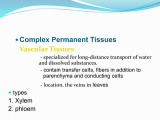 Complex Permanent Tissues 
Vascular Tissues 
- specialized for long-distance transport of water 
and dissolved substances. 
- contain transfer ceIIs, fibers in addition to 
parenchyma and conducting ceIIs 
- location, the veins in Ieaves 
 types 
1. Xylem 
2. phloem 
 