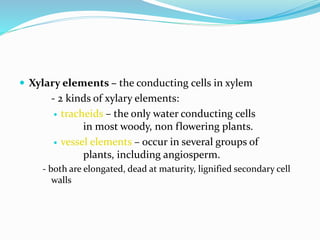  Xylary elements – the conducting cells in xylem 
- 2 kinds of xylary elements: 
 tracheids – the only water conducting cells 
in most woody, non flowering plants. 
 vessel elements – occur in several groups of 
plants, including angiosperm. 
- both are elongated, dead at maturity, lignified secondary cell 
walls 
 