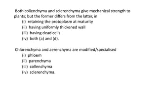 Both collenchyma and sclerenchyma give mechanical strength to
plants; but the former differs from the latter, in
(i) retaining the protoplasm at maturity
(ii) having uniformly thickened wall
(iii) having dead cells
(iv) both (a) and (d).
Chlorenchyma and aerenchyma are modified/specialised
(i) phloem
(ii) parenchyma
(iii) collenchyma
(iv) sclerenchyma.
 