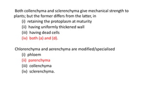 Both collenchyma and sclerenchyma give mechanical strength to
plants; but the former differs from the latter, in
(i) retaining the protoplasm at maturity
(ii) having uniformly thickened wall
(iii) having dead cells
(iv) both (a) and (d).
Chlorenchyma and aerenchyma are modified/specialised
(i) phloem
(ii) parenchyma
(iii) collenchyma
(iv) sclerenchyma.
 
