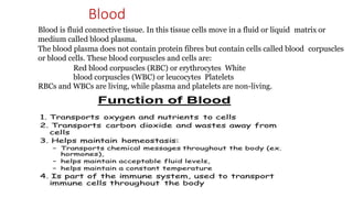 Blood
Blood is fluid connective tissue. In this tissue cells move in a fluid or liquid matrix or
medium called blood plasma.
The blood plasma does not contain protein fibres but contain cells called blood corpuscles
or blood cells. These blood corpuscles and cells are:
Red blood corpuscles (RBC) or erythrocytes White
blood corpuscles (WBC) or leucocytes Platelets
RBCs and WBCs are living, while plasma and platelets are non-living.
 