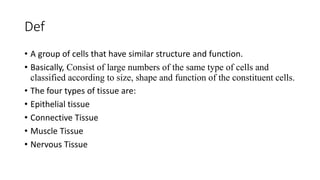 Comprehensive Overview of Human Tissue Types and Functions in Anatomy | PDF
