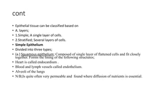 Comprehensive Overview of Human Tissue Types and Functions in Anatomy | PDF