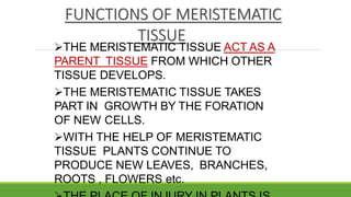 FUNCTIONS OF MERISTEMATIC
TISSUE
THE MERISTEMATIC TISSUE ACT AS A
PARENT TISSUE FROM WHICH OTHER
TISSUE DEVELOPS.
THE MERISTEMATIC TISSUE TAKES
PART IN GROWTH BY THE FORATION
OF NEW CELLS.
WITH THE HELP OF MERISTEMATIC
TISSUE PLANTS CONTINUE TO
PRODUCE NEW LEAVES, BRANCHES,
ROOTS , FLOWERS etc.
 